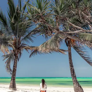 A traveler relaxing under palm trees on a tropical beach