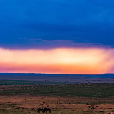 Storm clouds over the Tanzanian savanna at dusk with grazing wildlife